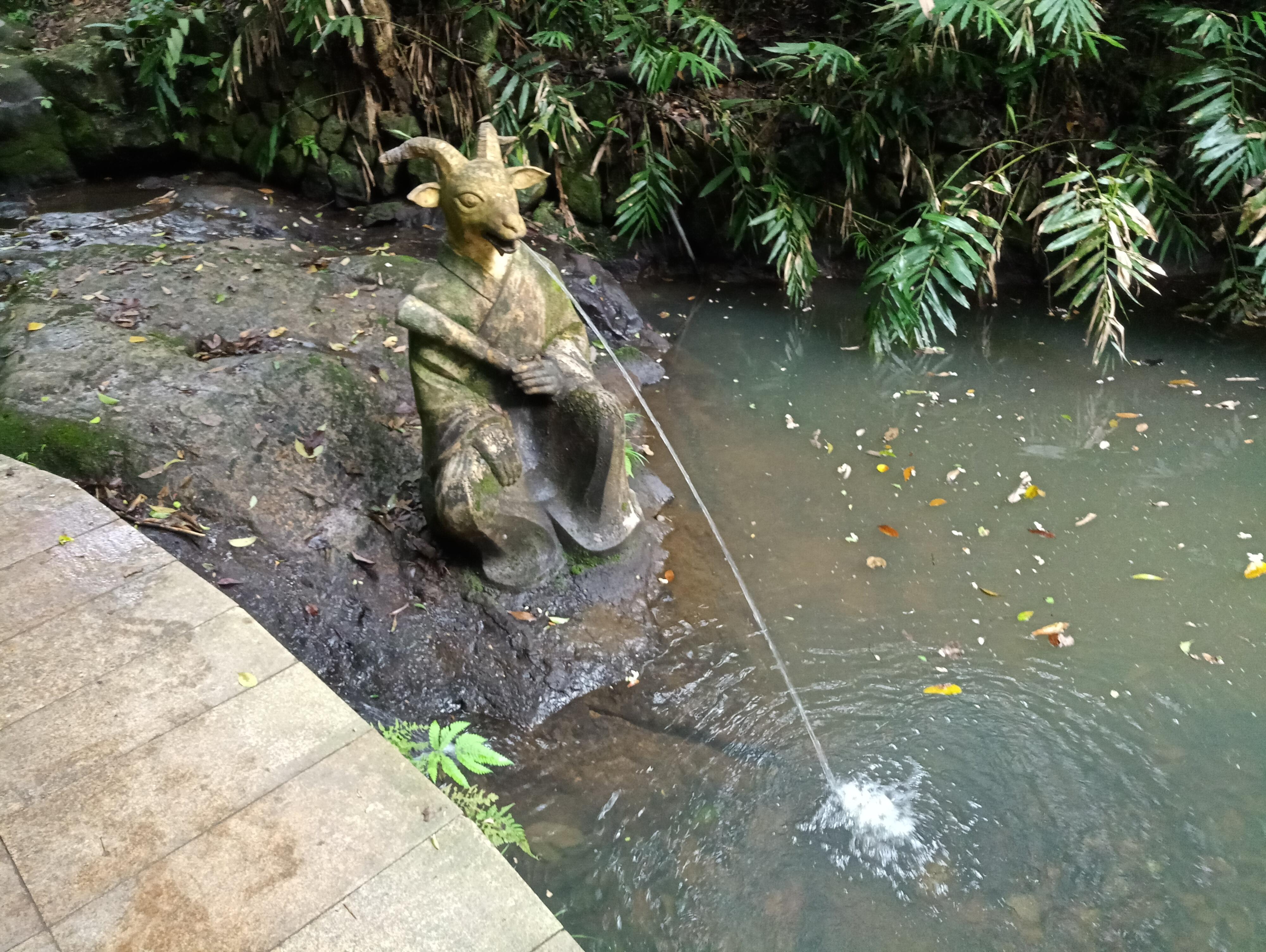 潭打一生肖，谜团揭晓与落实精神的实践