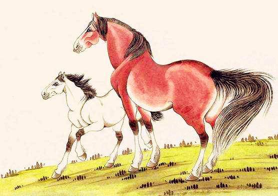 揭秘雄打一肖的生肖之谜，马到成功的背后