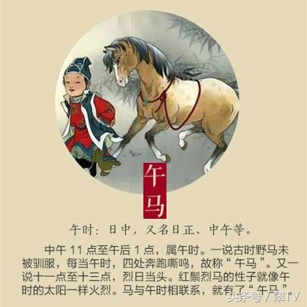 打猜一生肖，智慧与趣味的巧妙结合