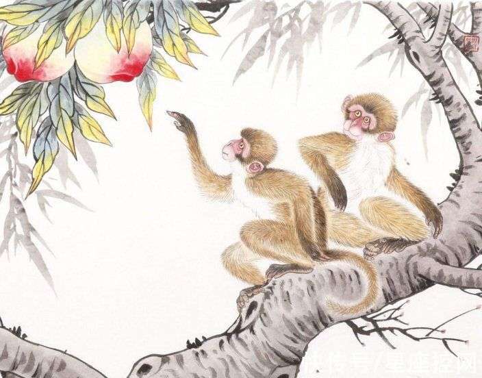 躲躲藏藏打一生肖,揭秘与通用解释落实的智慧 躲躲藏藏打一生肖,揭秘与通用解释落实的智慧