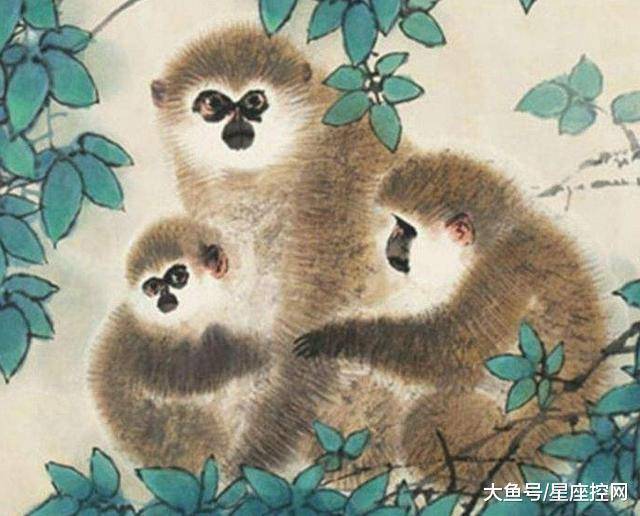 浮躁打一生肖、落实相信的解释