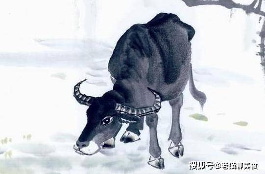 逆来顺受与生肖的智慧,选择解释落实的哲学 逆来顺受与生肖的智慧,选择解释落实的哲学