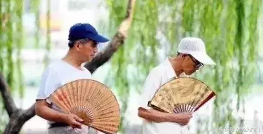 伏天穿破袄打一生肖、谁来落实解答？