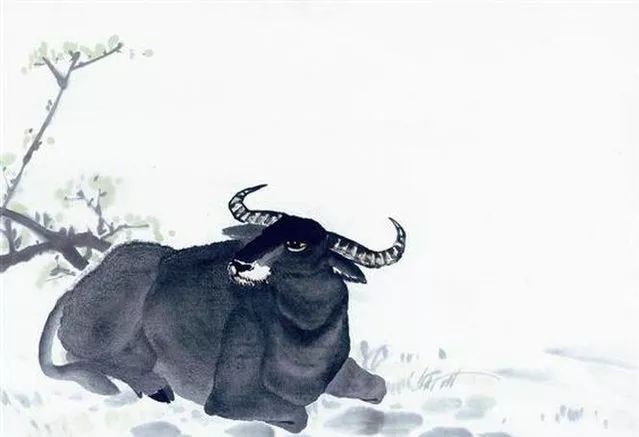 以起模范的生肖为镜，生肖牛的积极实践与落实