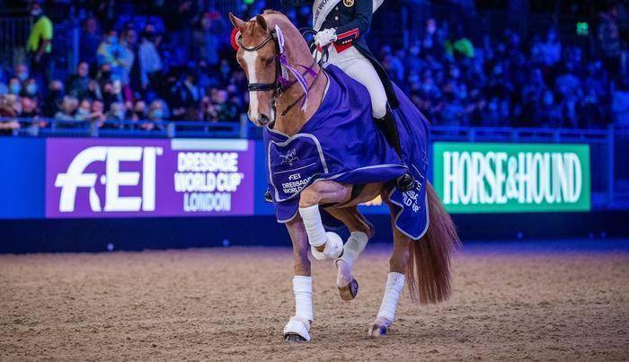皮条客与特马，生肖背后的绝佳解释与落实