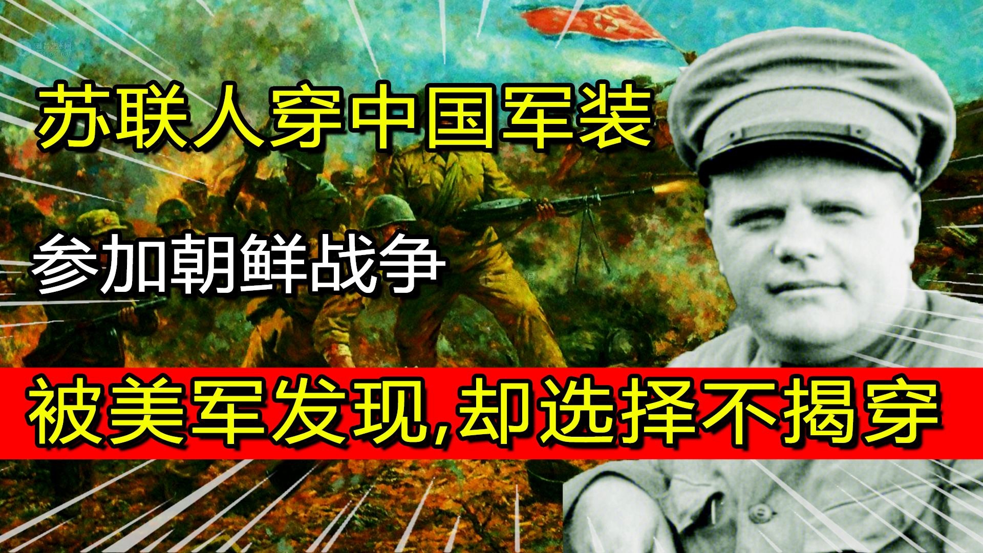 战野风云，两军交锋中的生肖智慧与选择落实