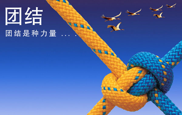 团结一心,共筑辉煌—业打一生肖的深刻启示 团结一心,共筑辉煌—业打一生肖的深刻启示