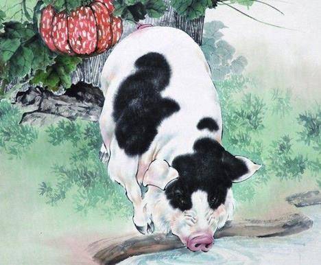 一落千金打一生肖、揭秘如何选择并落实正确的 一落千金打一生肖、揭秘如何选择并落实正确的