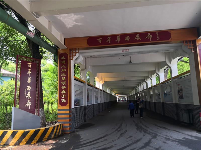 _刘备打一个生肖、选择解释落实