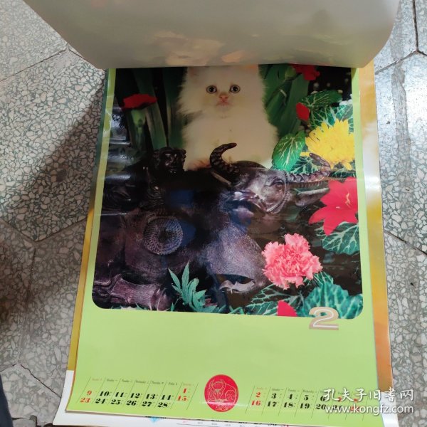 挂历打一生肖动物、积极解释落实