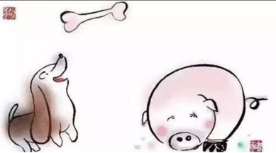 谜底即将揭晓，捉襟见肘打一生肖的奇妙探索