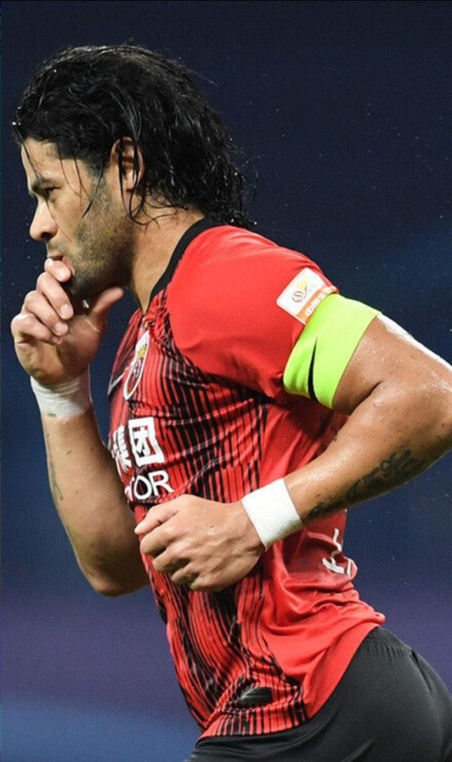 风云突变打一生肖动物、谁来落实解答？