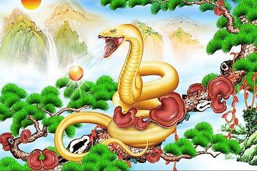 共冶一炉，揭秘生肖中的蛇与信的哲学