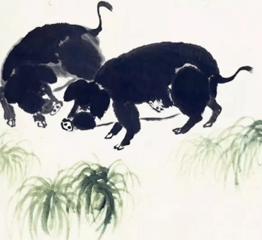 掌上明珠与生肖动物，实证解释与文化寓意