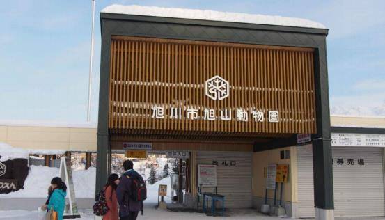 门庭若市打一准确生肖、神秘解释落实