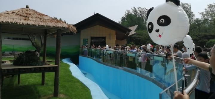 精准解答与落实精神，揭秘转来此生打一生肖的深层含义