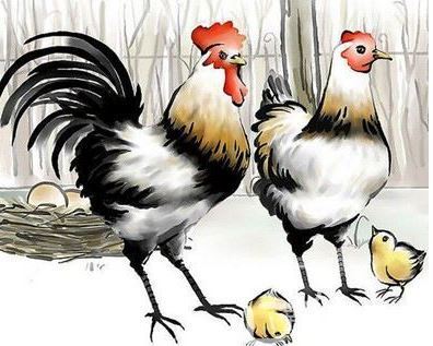 揭秘天天向上背后的生肖奥秘，一探究竟的生肖动物与解释落实