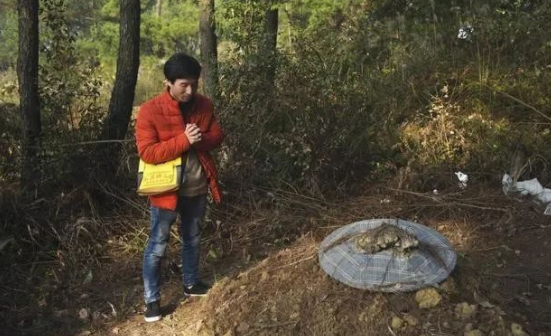 坟打一生肖、新型作答落实解释