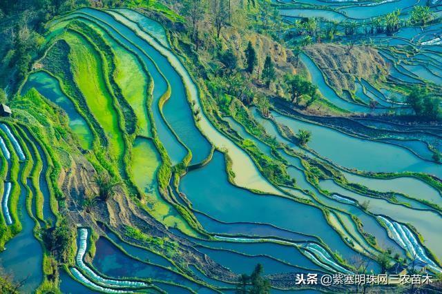 一世勤劳打一生肖、新型作答落实解释