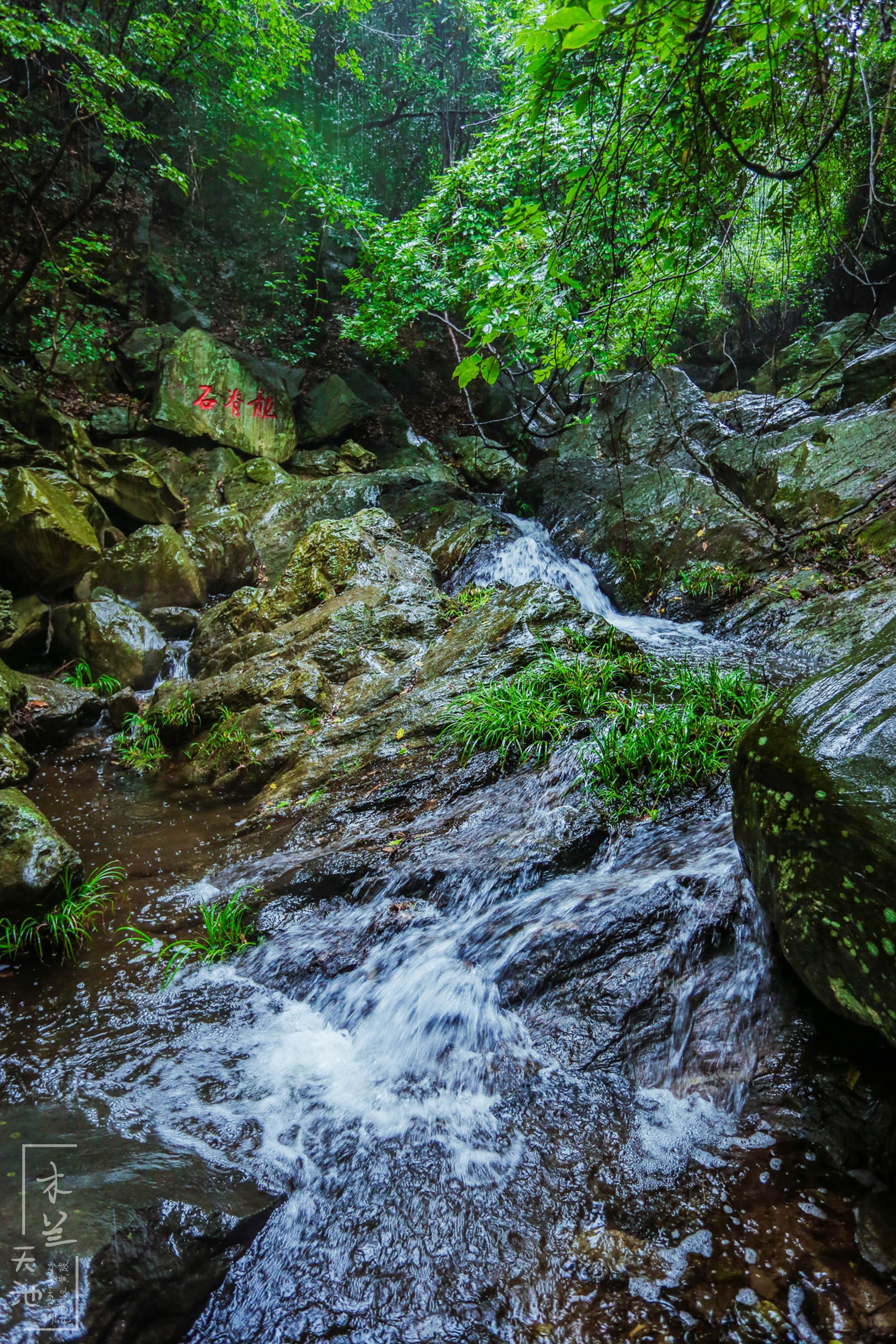 今期生肖上天庭,揭秘谜底,龙 今期生肖上天庭,揭秘谜底,龙