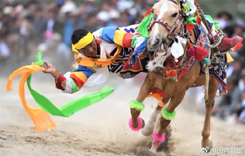 倚马可待打一生肖、科技赋能下的传统运动文化新解