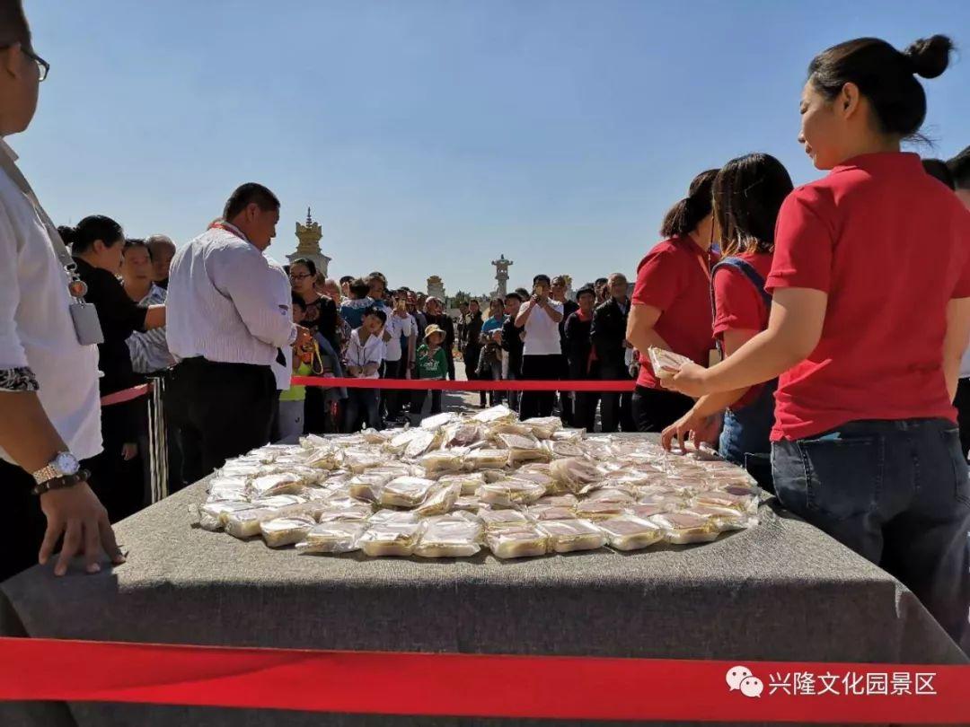 今期生肖震九洲，精选解析与落实的详细结果