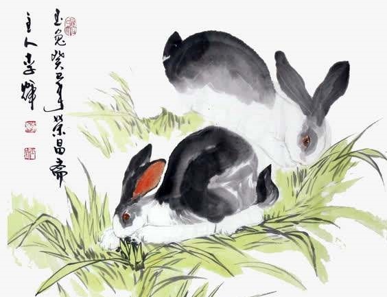 闲打一生肖，兔—静谧中的哲理