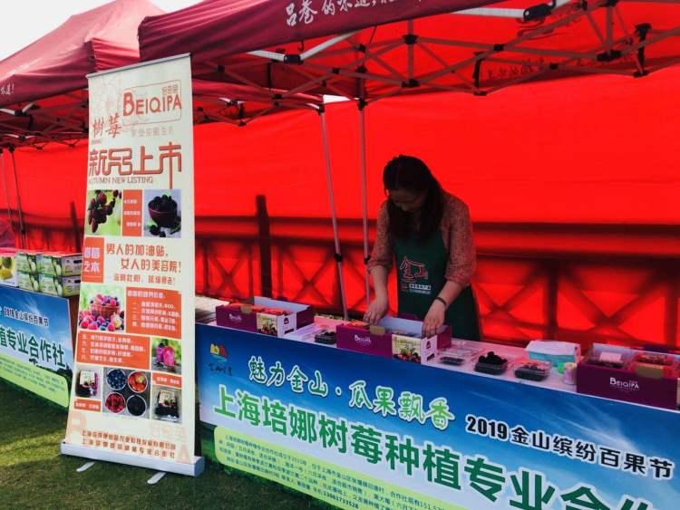 蟠桃盛宴邀八仙打一生肖、定量解释落实