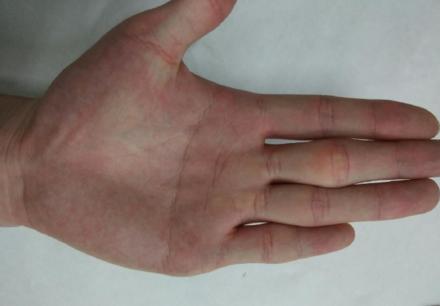 经典解释，嘘枯吹生与生肖的神秘联系