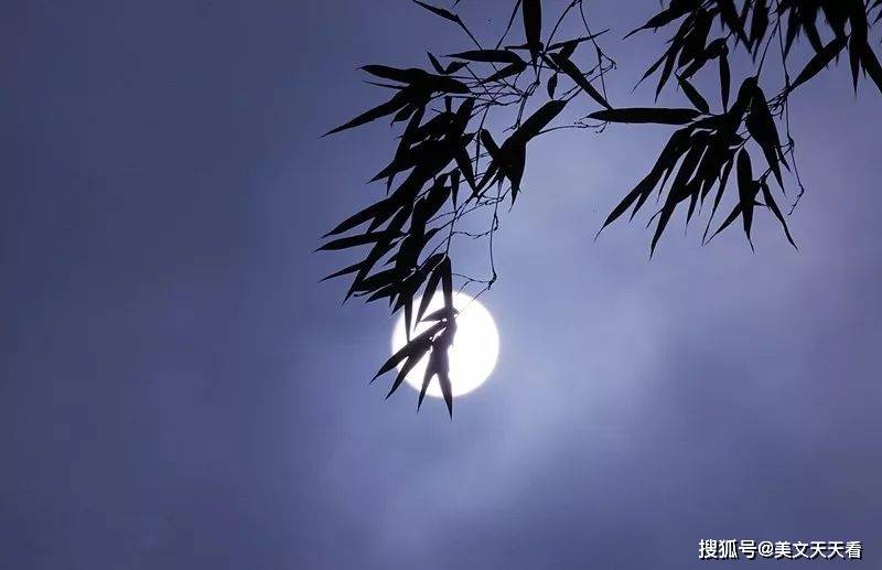 夜风轻拂，三更梦醒—揭秘风动三更夜打一生肖的积极寓意