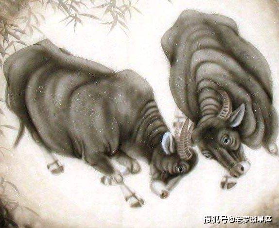 甑尘釜鱼打一生肖、团结解释落实