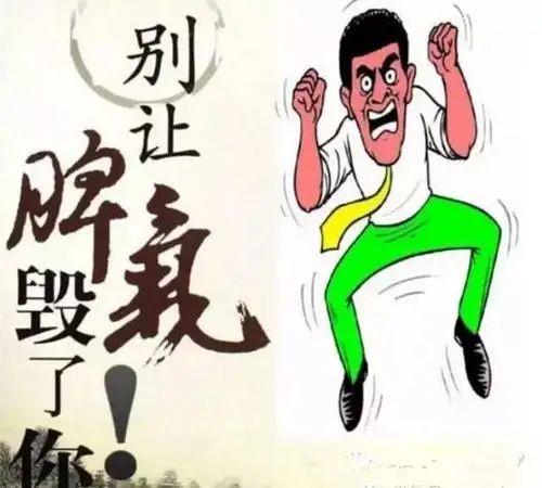 臭脾气打一生肖、时代解释落实