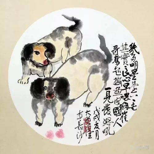 英泪无泪，生肖之谜与人生哲理的深度探索