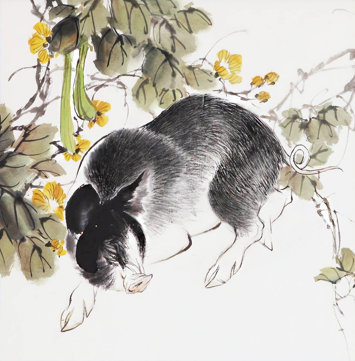 三餐无忧一乐也—生肖中的猪与友爱精神的体现