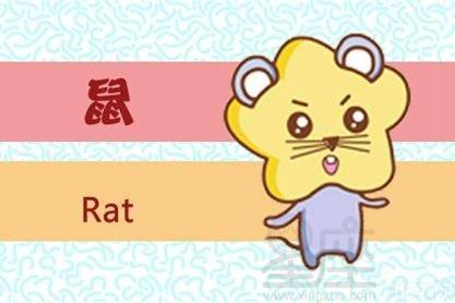 属猪马虎定生肖，揭秘生肖中的动物智慧与战略运用