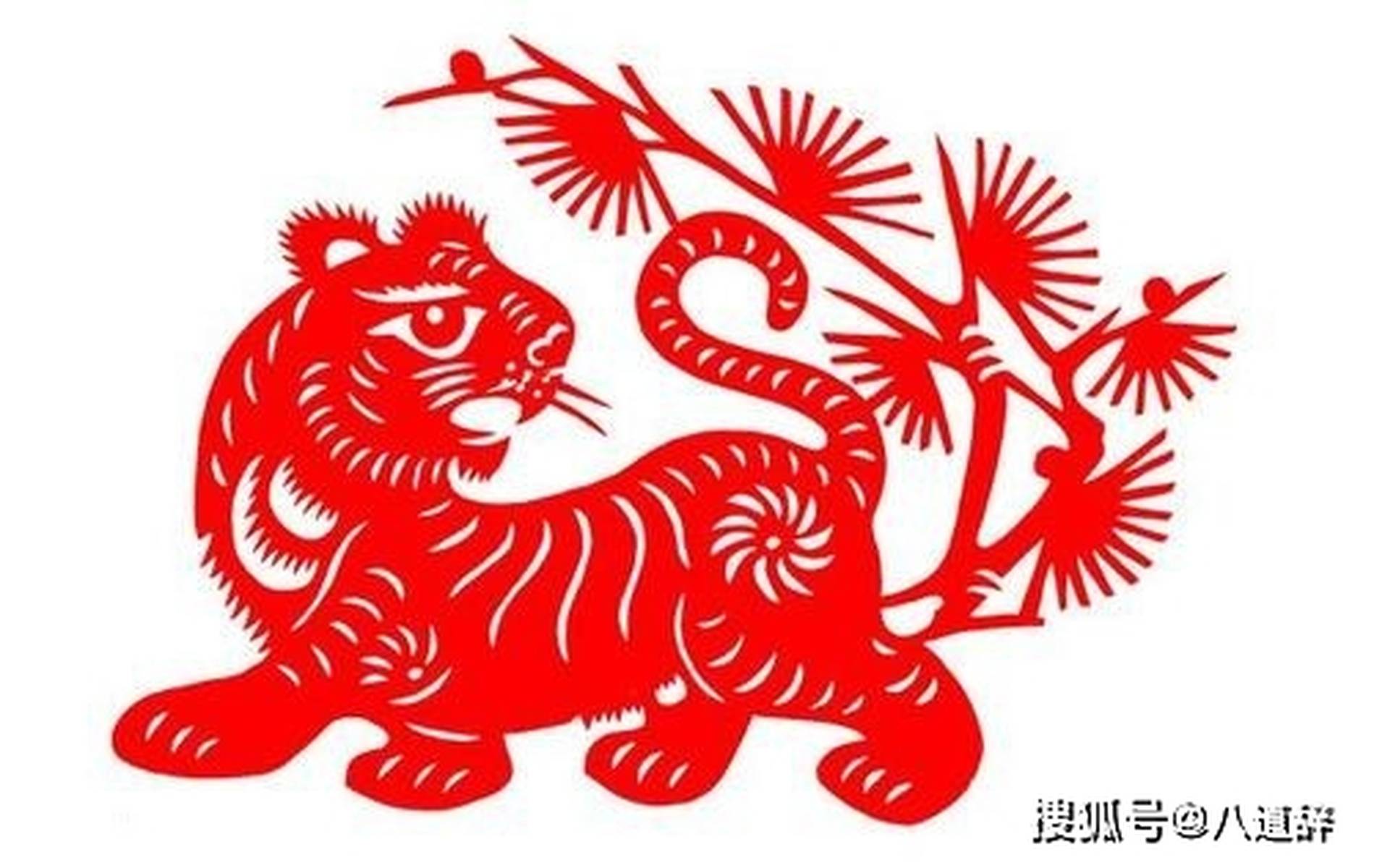 寿打一生肖、深度解析与落实 寿打一生肖、深度解析与落实