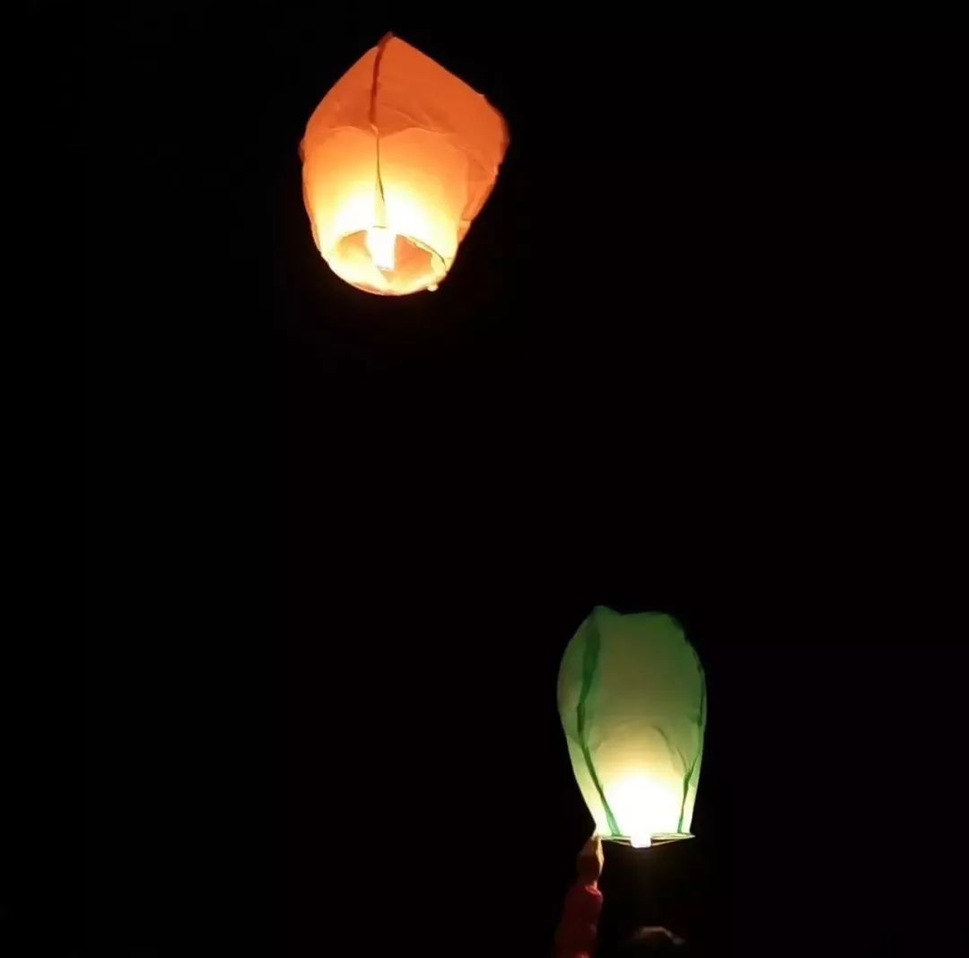 孔明灯打一生肖、真相解释落实