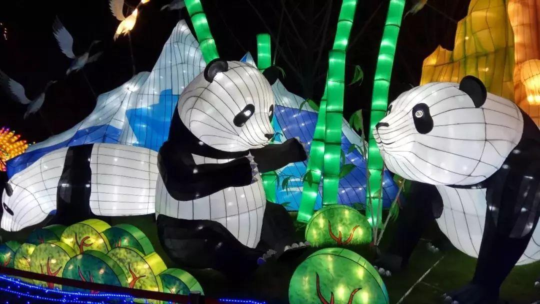 浪漫打一生肖、无限解释落实 浪漫打一生肖、无限解释落实