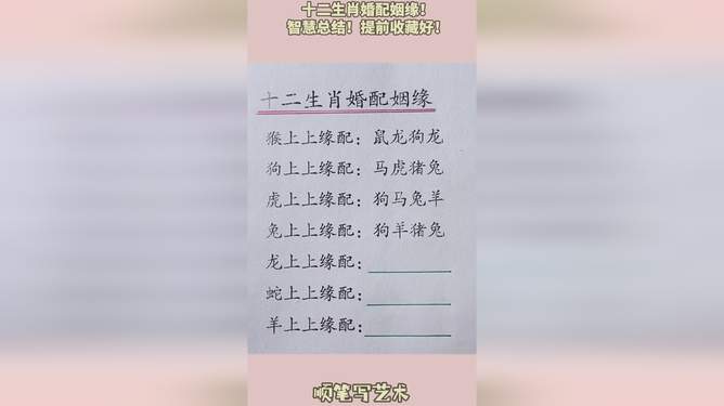 媳打一生肖、背后的智慧与策略