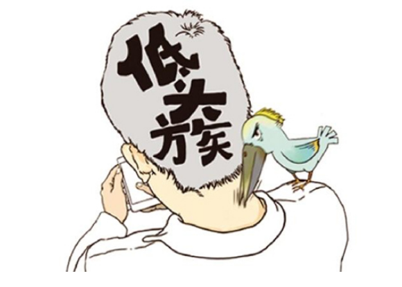 非凡解释落实，从颈椎病到生肖的奇妙旅程