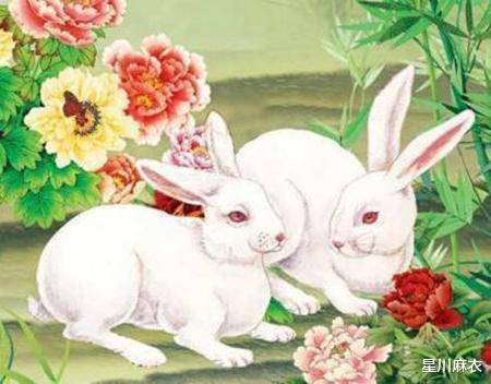 走起路蹦蹦跳,生肖兔的灵动故事与寓意 走起路蹦蹦跳,生肖兔的灵动故事与寓意