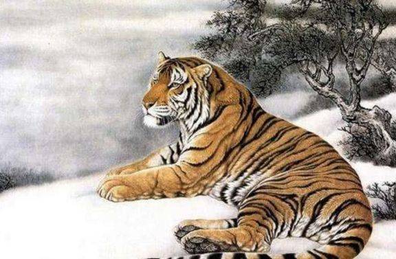 精明能干打一生肖、深度解析与智慧思考