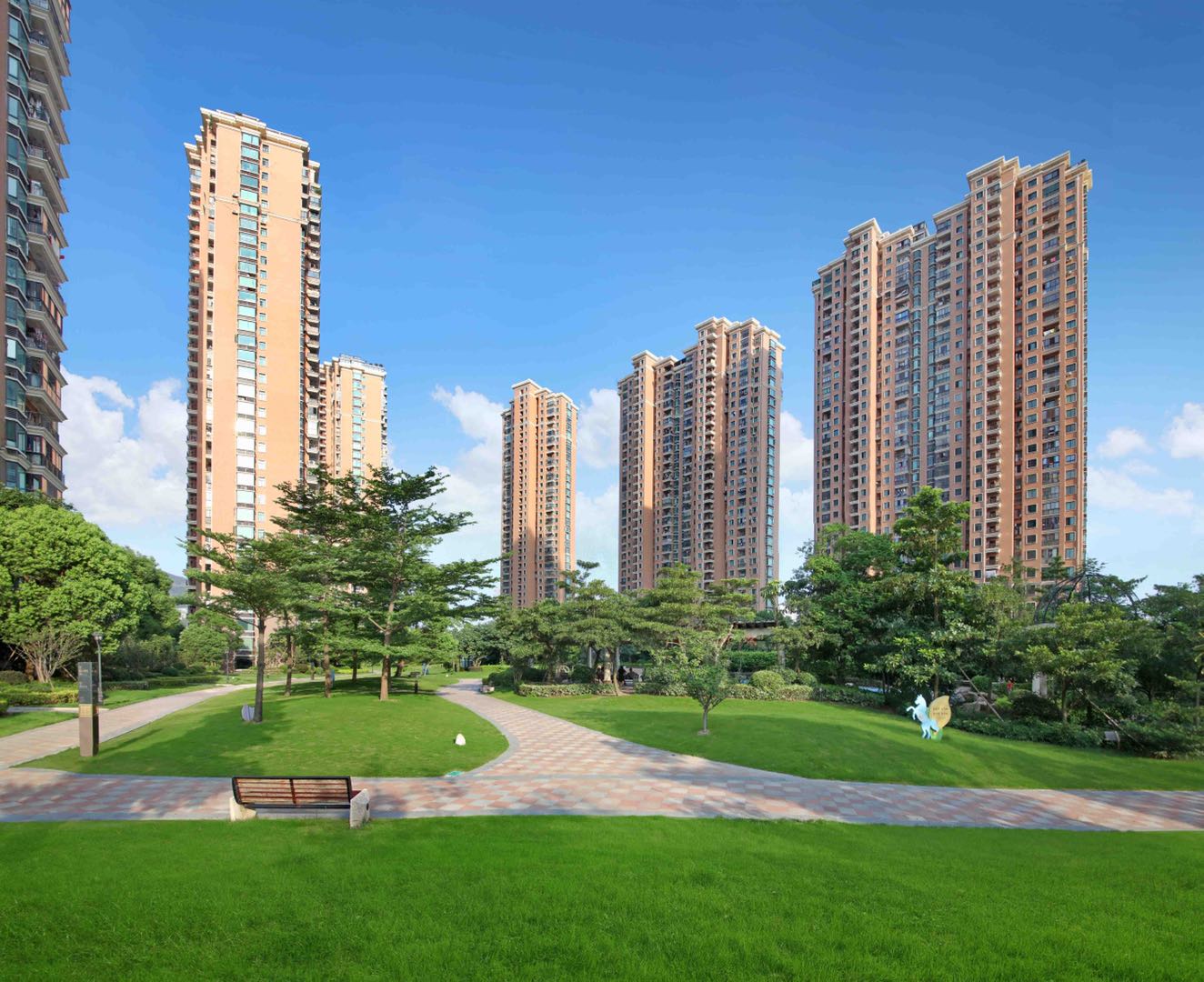 满地黄金打一生肖，揭秘与解析