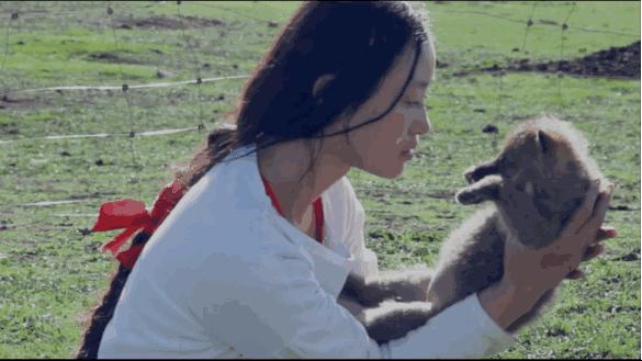 崴、的动物智慧与战略运用