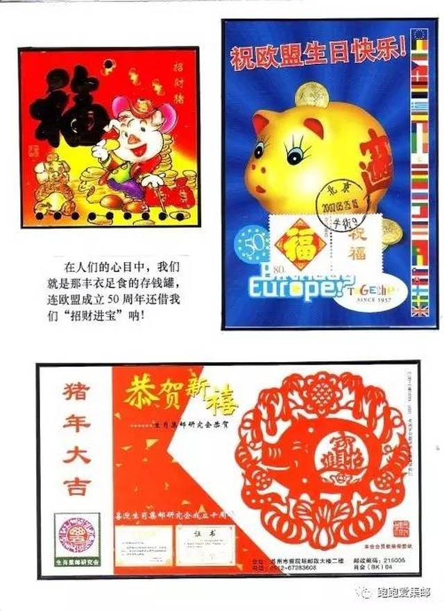 金花绽放，揭秘生肖之谜，探寻金花打一生肖的深层含义与激励启示