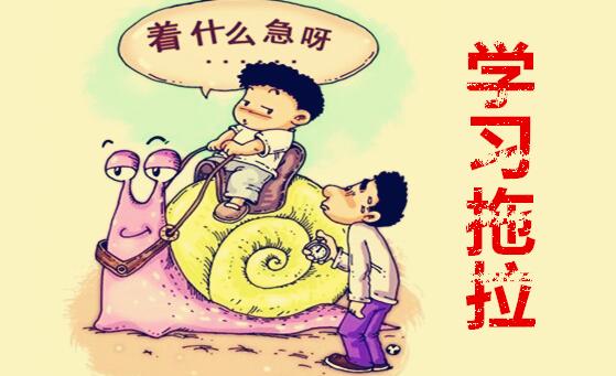 拖拖拉拉打一生肖、奥秘解释落实