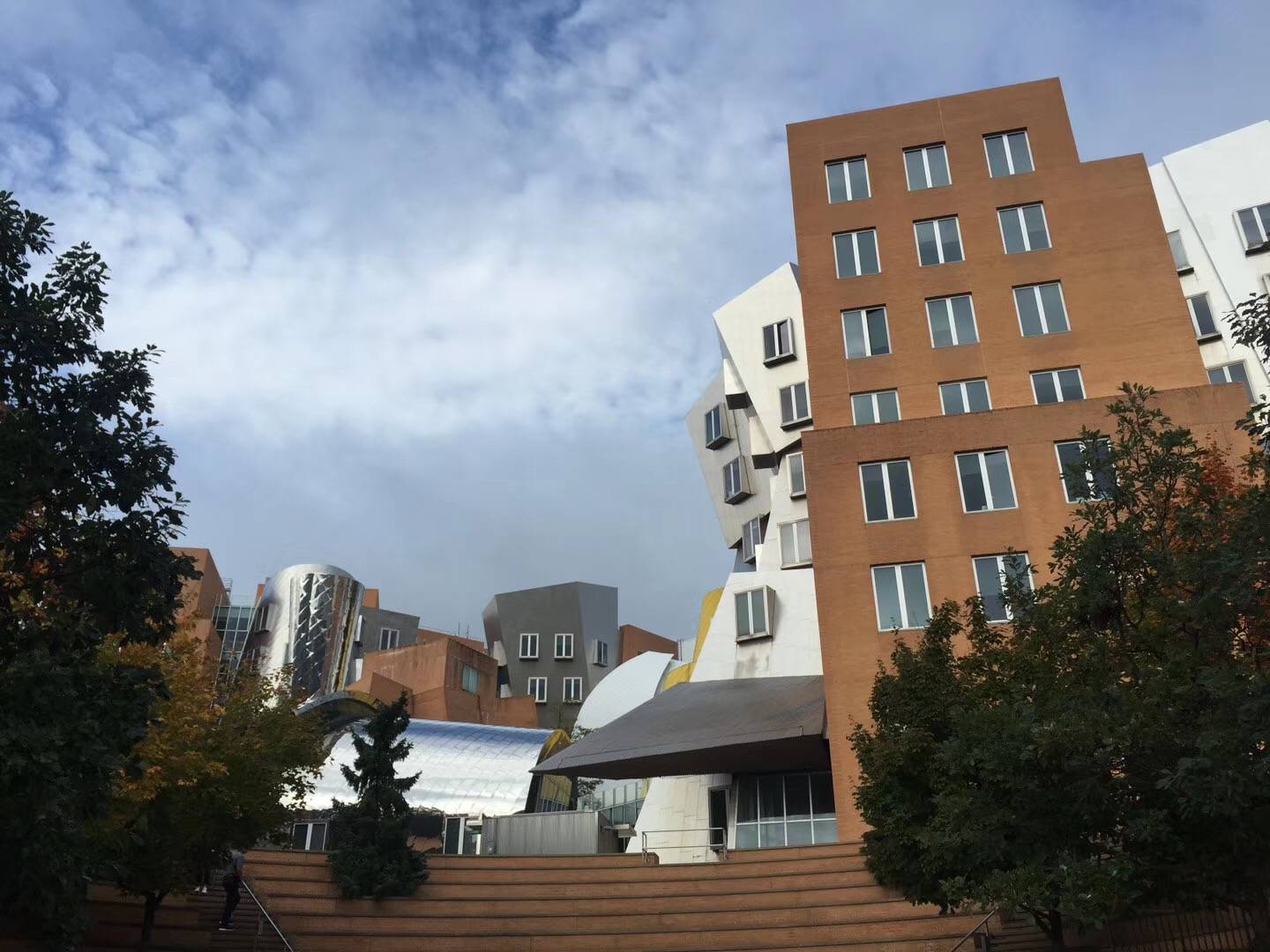 半死不活打一生肖、能人解释与现代生活的落实