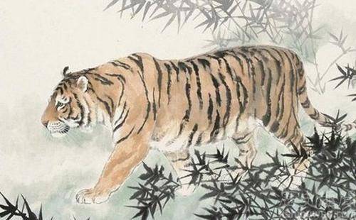 陆打一生肖，词语的深层释义与文化解读