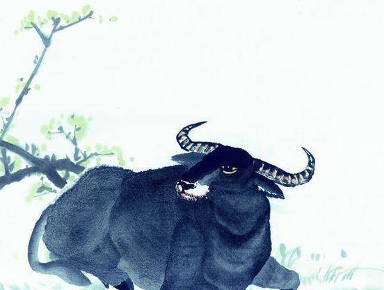 座无虚席与不安分之选，生肖中的独特魅力