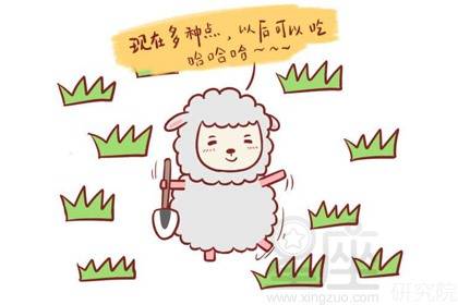 多愁善感，生肖中的情感细腻者—以兔为例的解析与启示